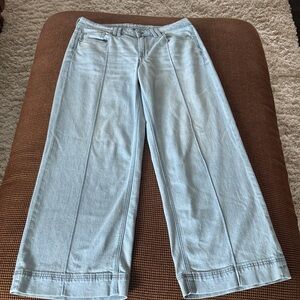 American Eagle Outfitters Sky Blue Low-rise Wide Leg Jeans